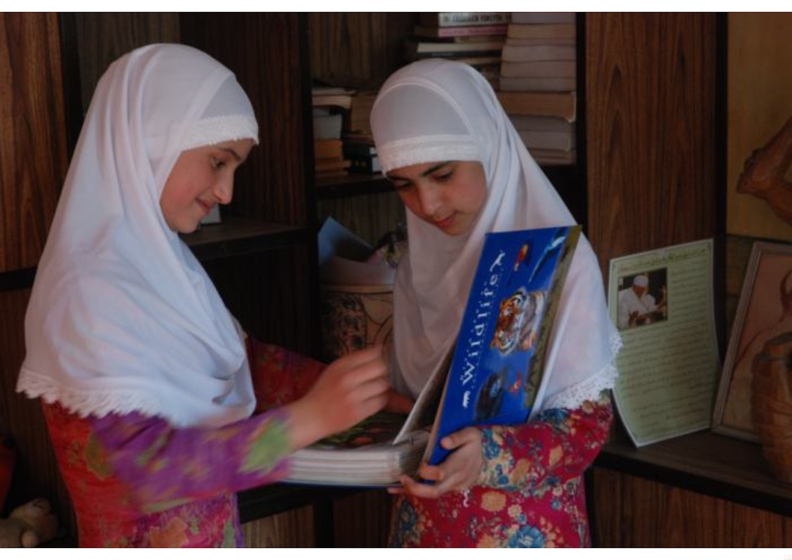 Child Development Activities