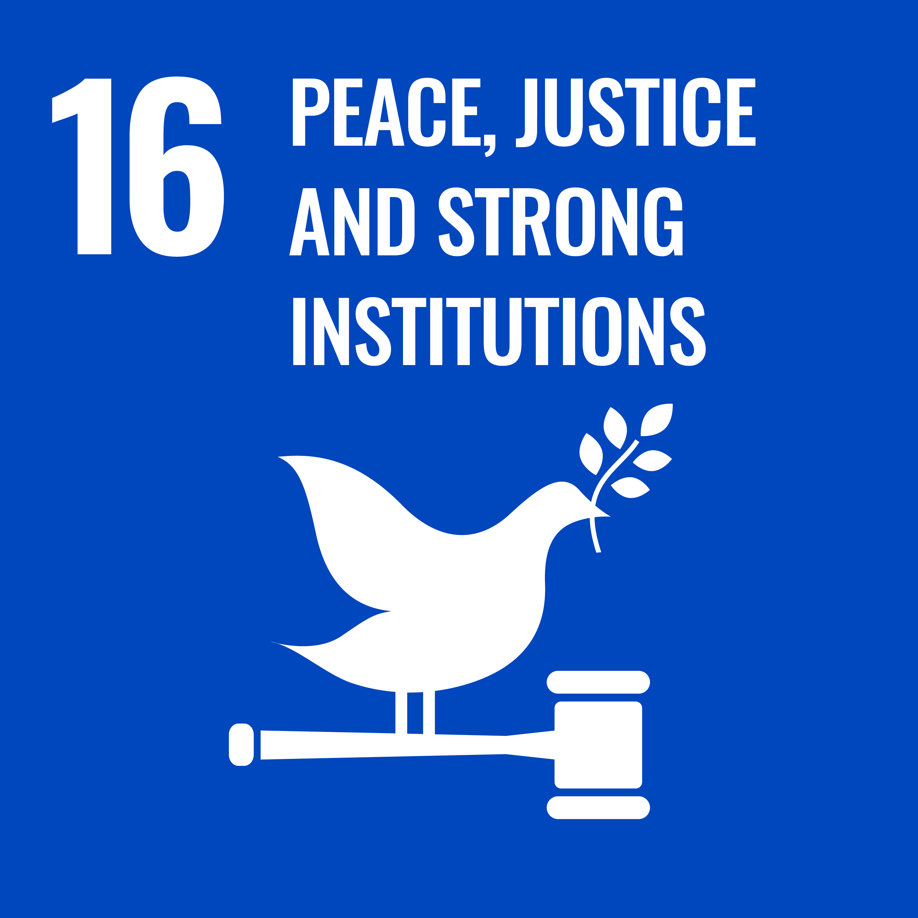 SDG 16: Peace & Justice